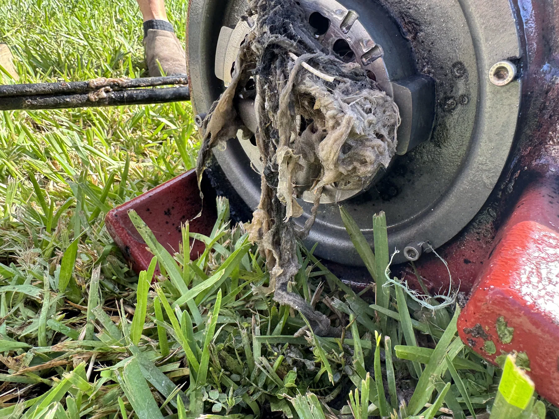 Merckle Plumbing hydro jetting job in Walton County, Florida