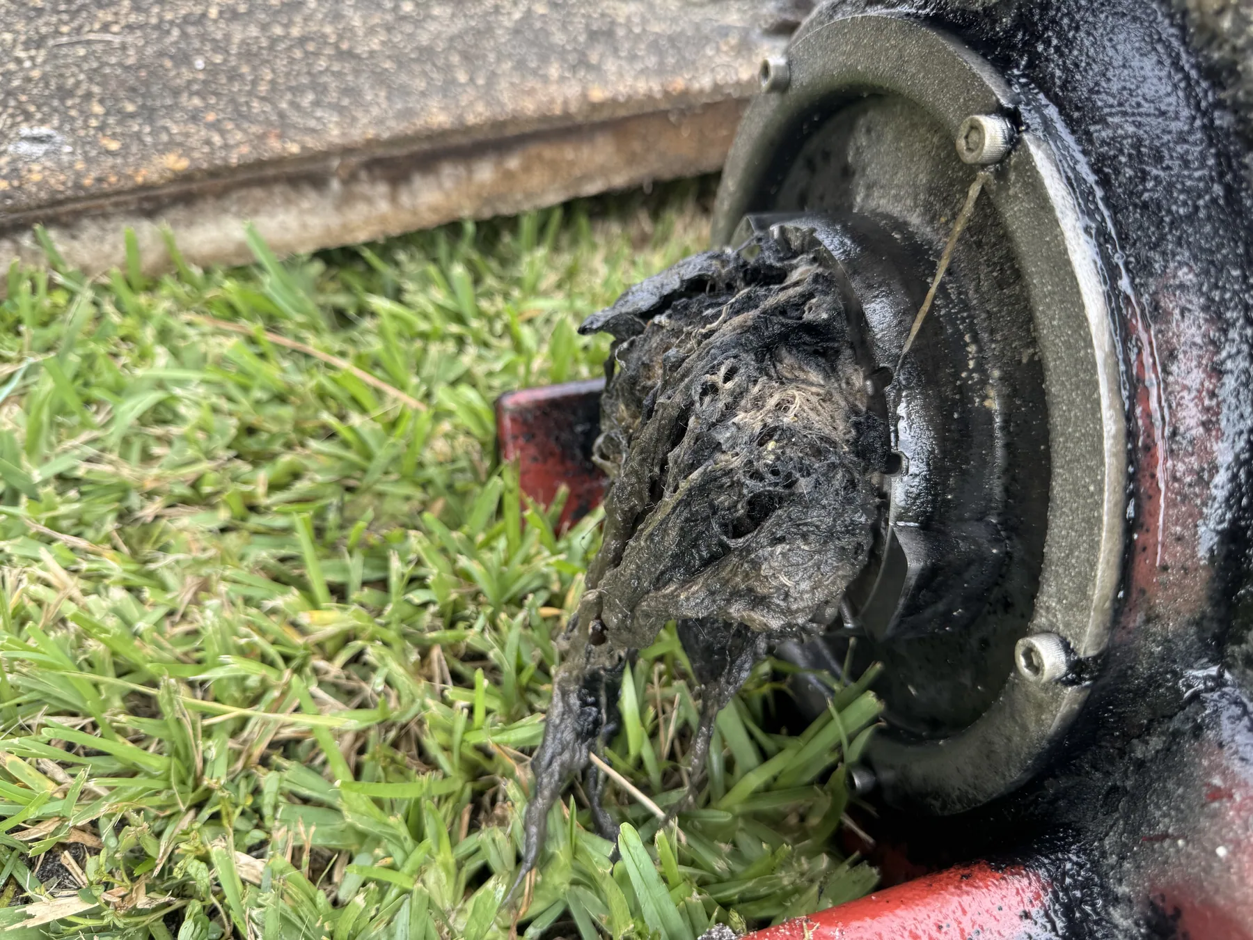 Merckle Plumbing sewer line inspection and repair work in Northwest Florida