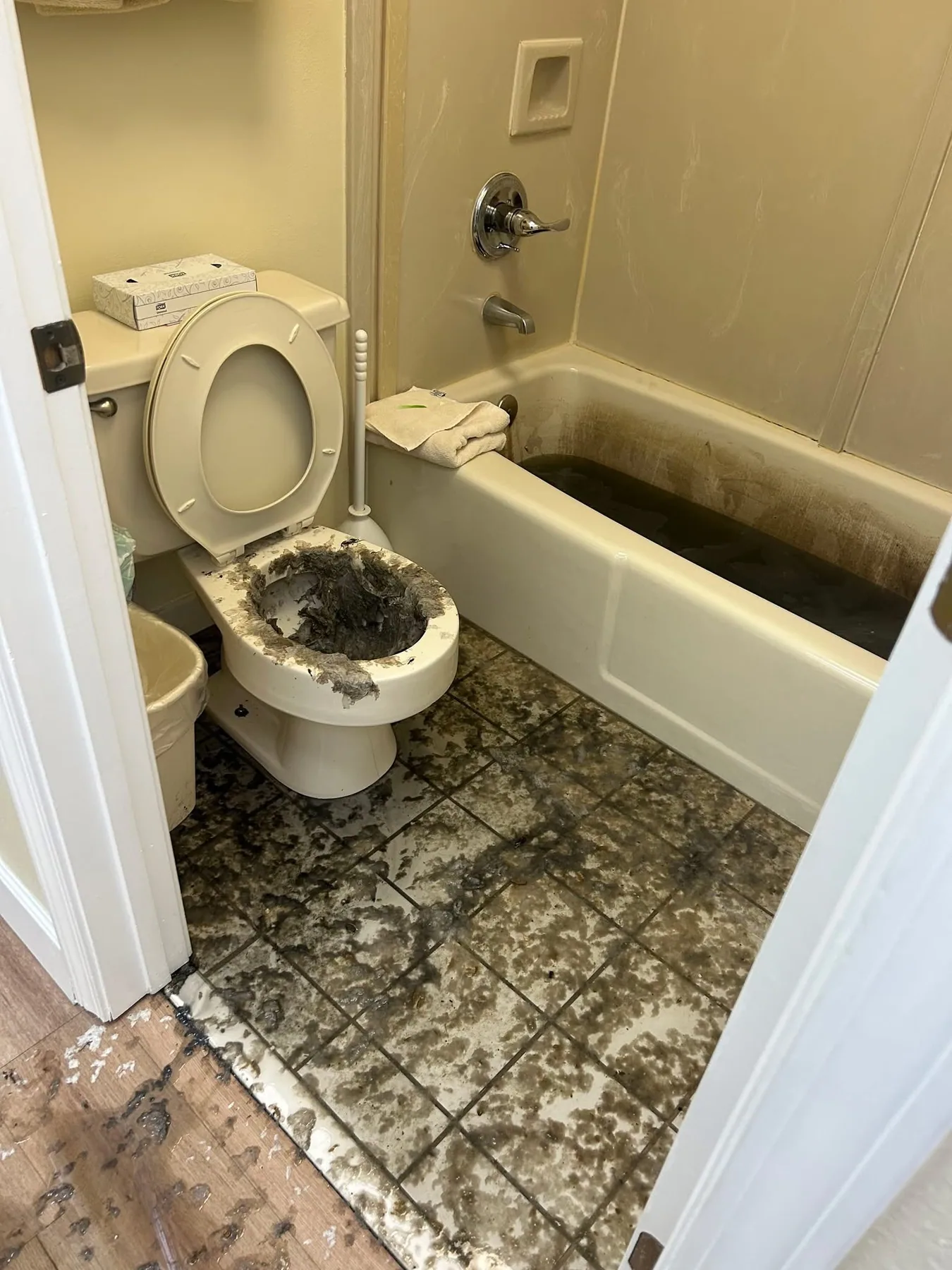 Merckle Plumbing bathroom plumbing job in Walton County, Florida